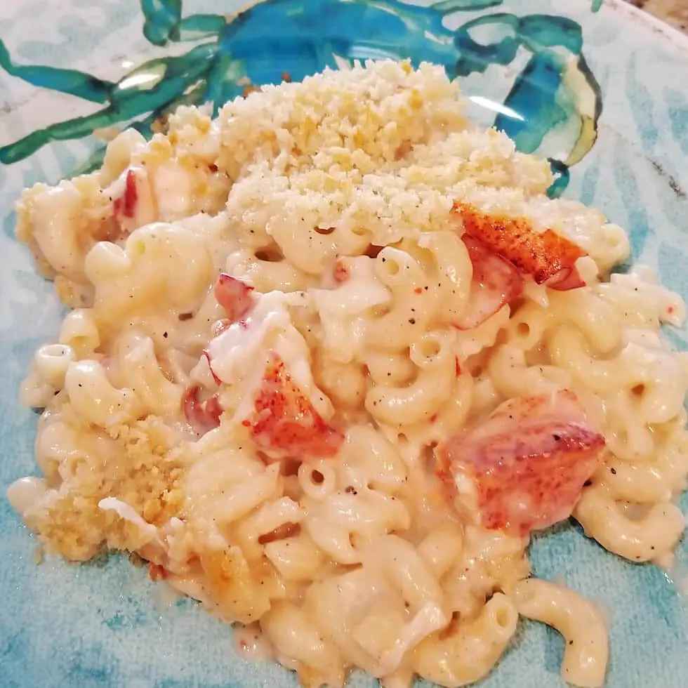 A delicious plate of macaroni and cheese topped with lobster
